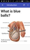 Blue Balls Ekran Görüntüsü 1