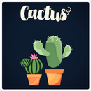 Cute Cactus Wallpaper APK