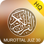 Ustaz Hanan Attaki - Murottal AlQuran Juz 30 Full иконка