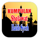 Kumpulan Sholawat Habib Syech Solo Mp3 APK