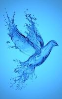 Water Art Wallpaper Affiche