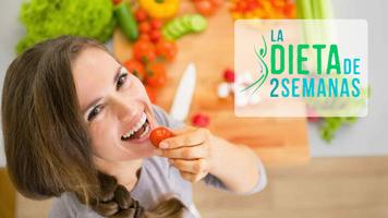 Dieta de las 2 Semanas Ekran Görüntüsü 1