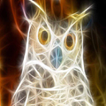 Neon Animals HD Wallpapers