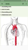 Human Arterial System Screenshot 1