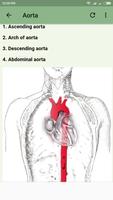 Human Arterial System capture d'écran 1