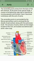 Human Arterial System capture d'écran 2