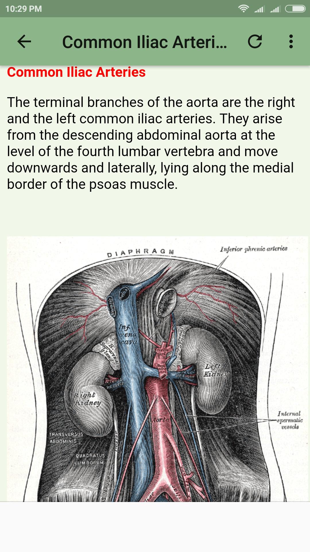 Human Arterial System for Android - APK Download