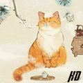 Cute Cat Wallpapers HD