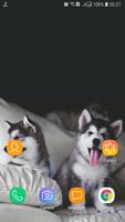Best Dog HD Wallpaper ภาพหน้าจอ 3