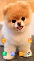 Best Dog HD Wallpaper โปสเตอร์