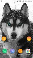 Best Dog HD Wallpaper ภาพหน้าจอ 1