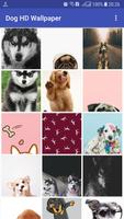 Best Dog HD Wallpaper ภาพหน้าจอ 2