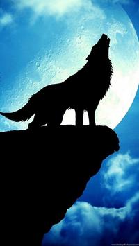 Wolf Wallpapers 4k For Android Apk Download