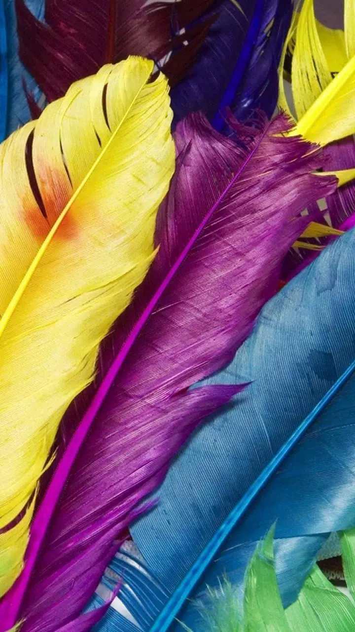 Best Colorful Wallpapers HD APK for Android Download Best Colorful Wallpapers HD APK for Android Download
