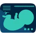 Obstetrics & Gyenacology Ultra