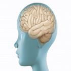 Neurology Guide иконка