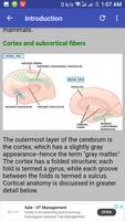 Neurology Guide Affiche