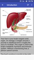 Hepatology & Diseases Affiche