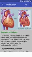 Cardiology Guide Affiche