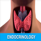 Endocrinology Guide icône