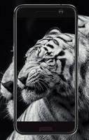 Poster Tiger Wallpaper HD