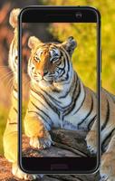 1 Schermata Tiger Wallpaper HD