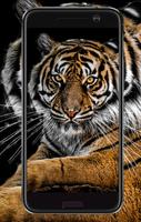 2 Schermata Tiger Wallpaper HD