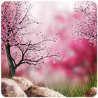 Sakura Art Wallpaper icône