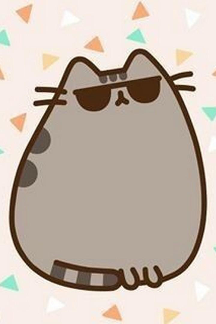  Cute Pusheen Cat wallpaper  HD for Android APK Download