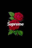 Supreme Art Wallpaper Affiche