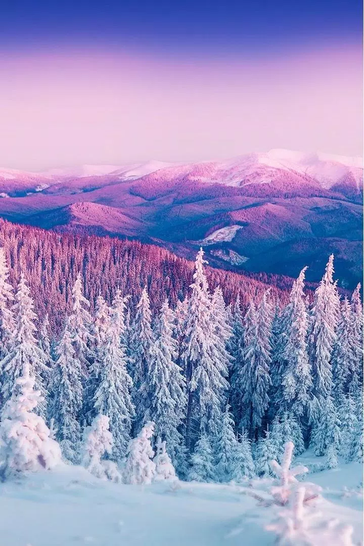 Winter Season Wallpaper APK for Android Download Winter Season Wallpaper APK for Android Download