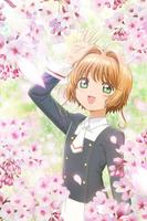 Cardcaptor Sakura Wallpaper Art HD screenshot 2