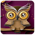 Best Wallpapers Owl HD