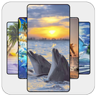 Dolphin Wallpaper HD icône