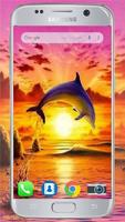 Dolphin Wallpaper HD स्क्रीनशॉट 1