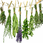 Plantas y Hierbas medicinales-icoon