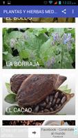 Plantas y Hierbas medicinales 截图 1