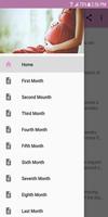 Pregnancy Monitoring penulis hantaran