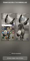 Donkey Wallpapers HD Affiche