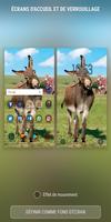 Donkey Wallpapers HD स्क्रीनशॉट 1