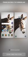 Donkey Wallpapers HD screenshot 2