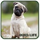 World Of Dogs APK