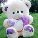 Teddy Bear Wallpaper APK