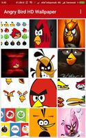 Angry red bird Wallpaper HD Affiche
