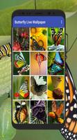 Butterfly Live Wallpaper скриншот 3