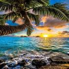 Beach Wallpaper ikona