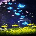 Butterfly Wallpaper