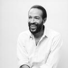 Marvin Gaye Biography and Wallpaper Quotes icône