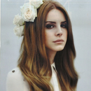 Lana Del Rey Biography and Wallpaper Quotes APK