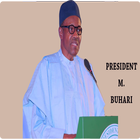 Baba Buhari Biography icon